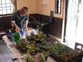 ���~�͋����̂��ē�